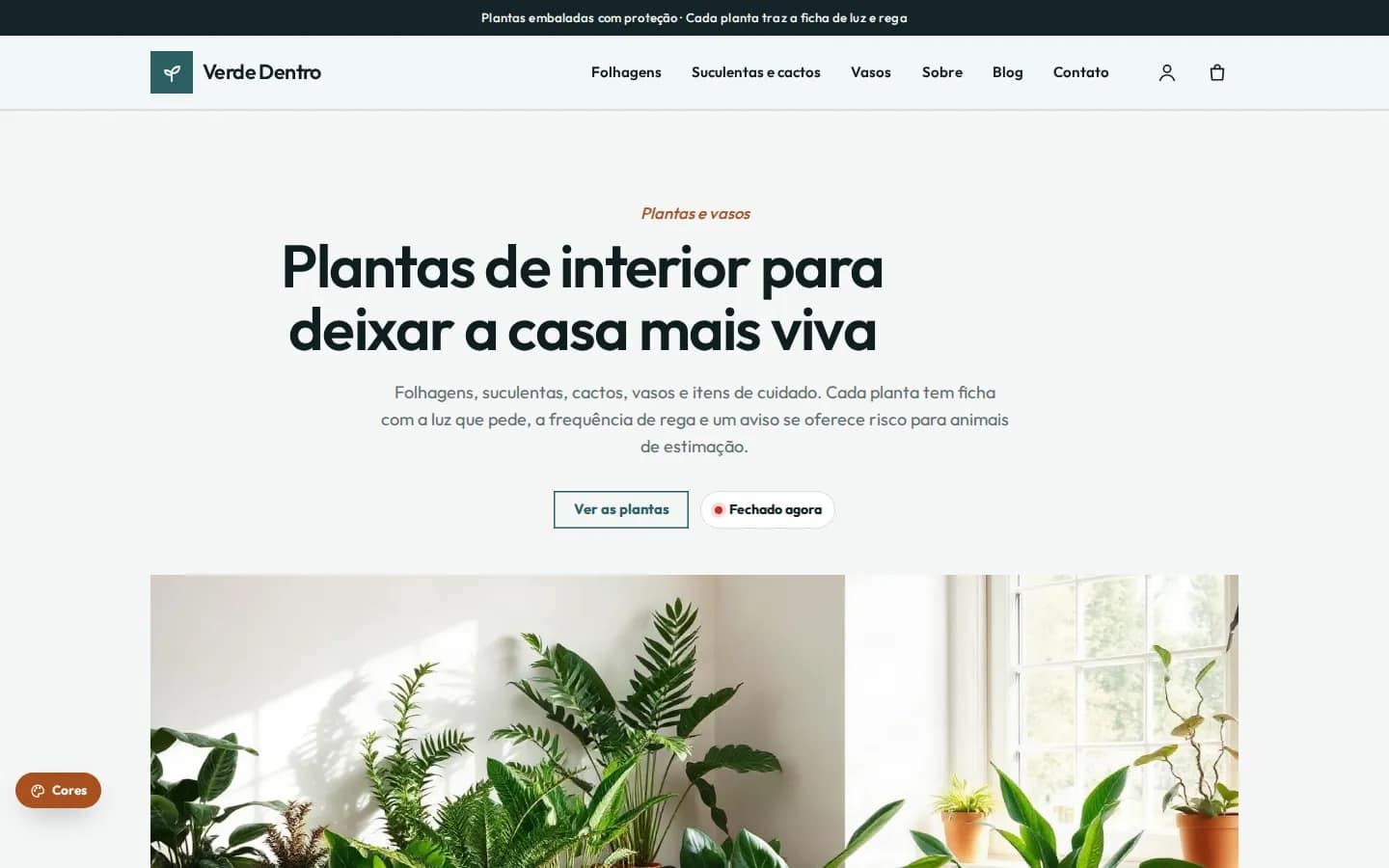 Verde Dentro — plantas de interior e vasos