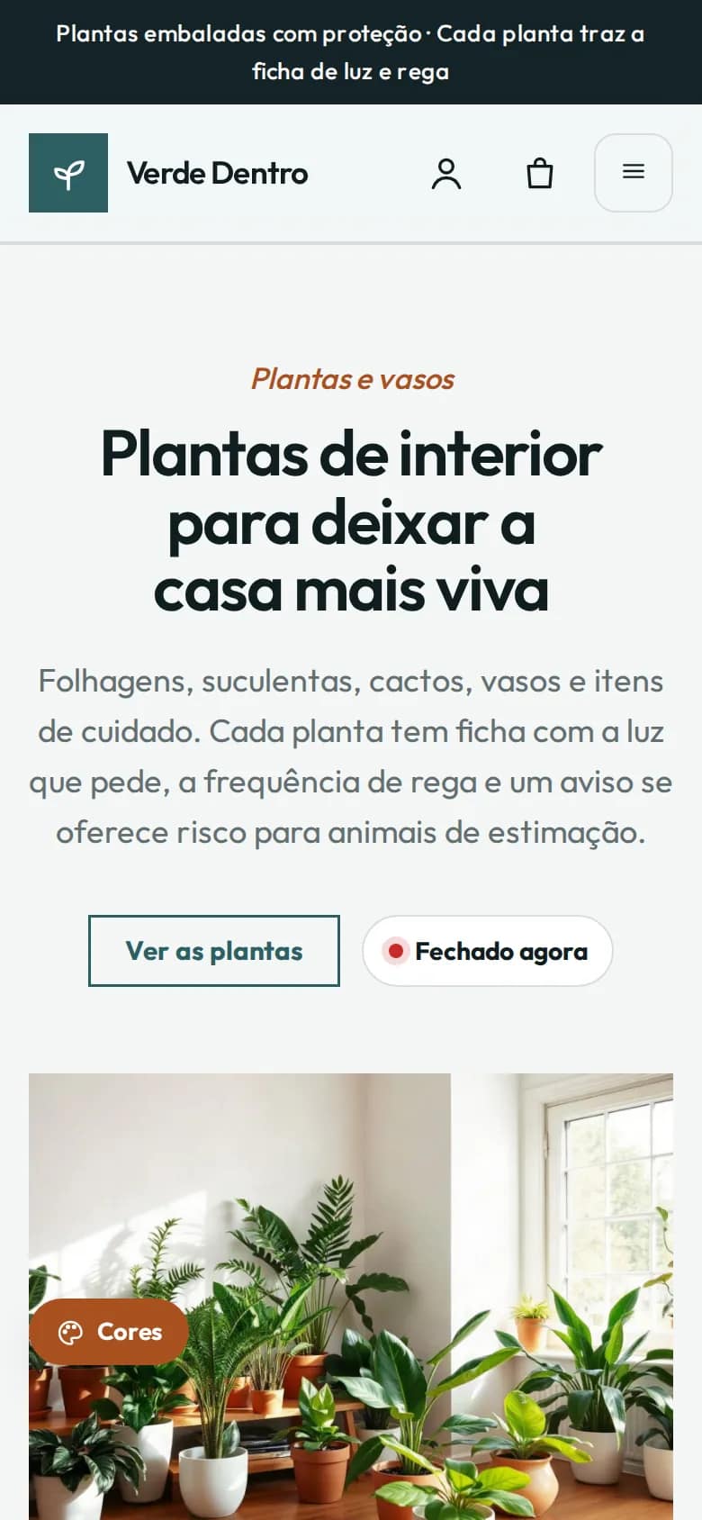 Verde Dentro — plantas de interior e vasos no celular